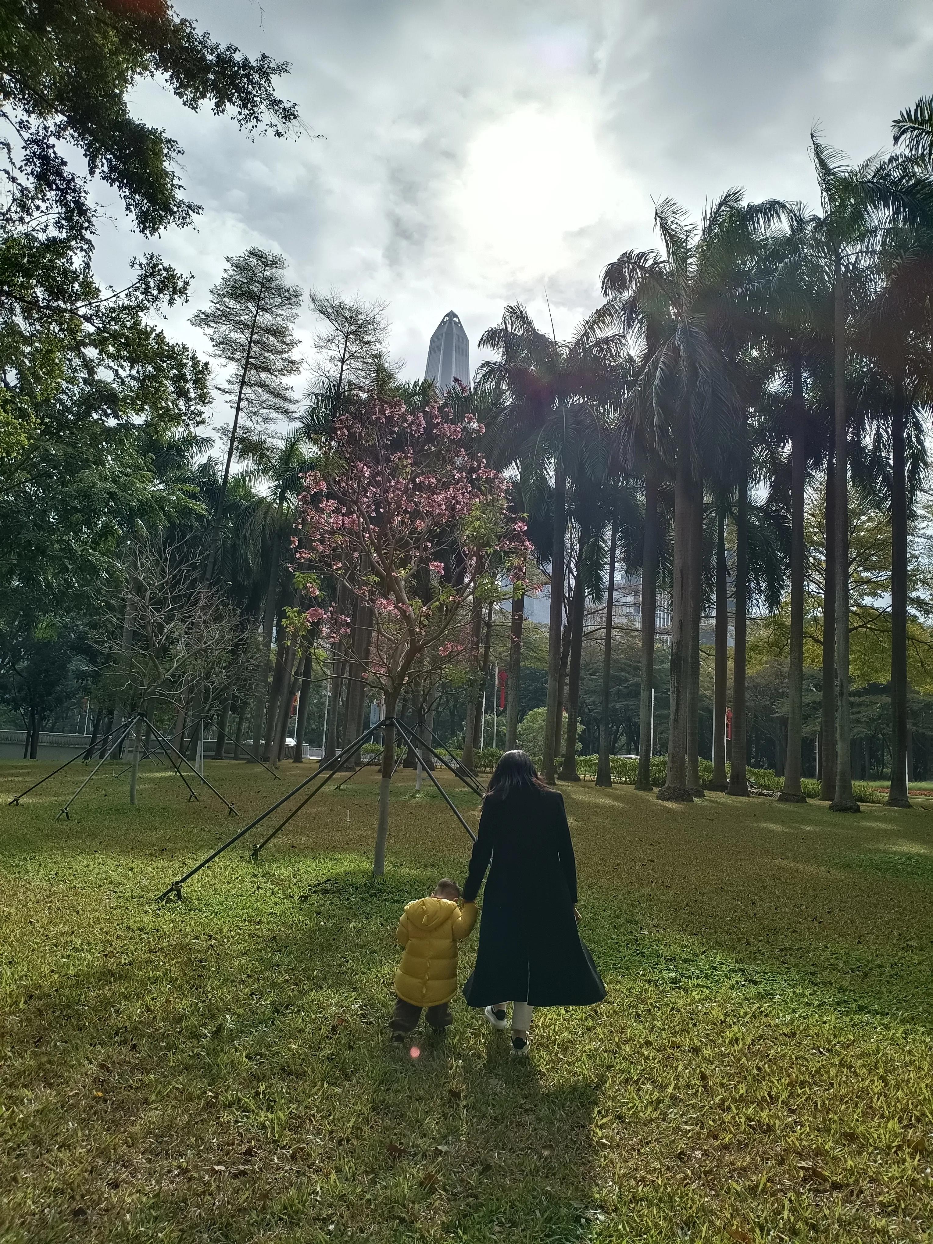 深圳和珠海有多远,路过珠海