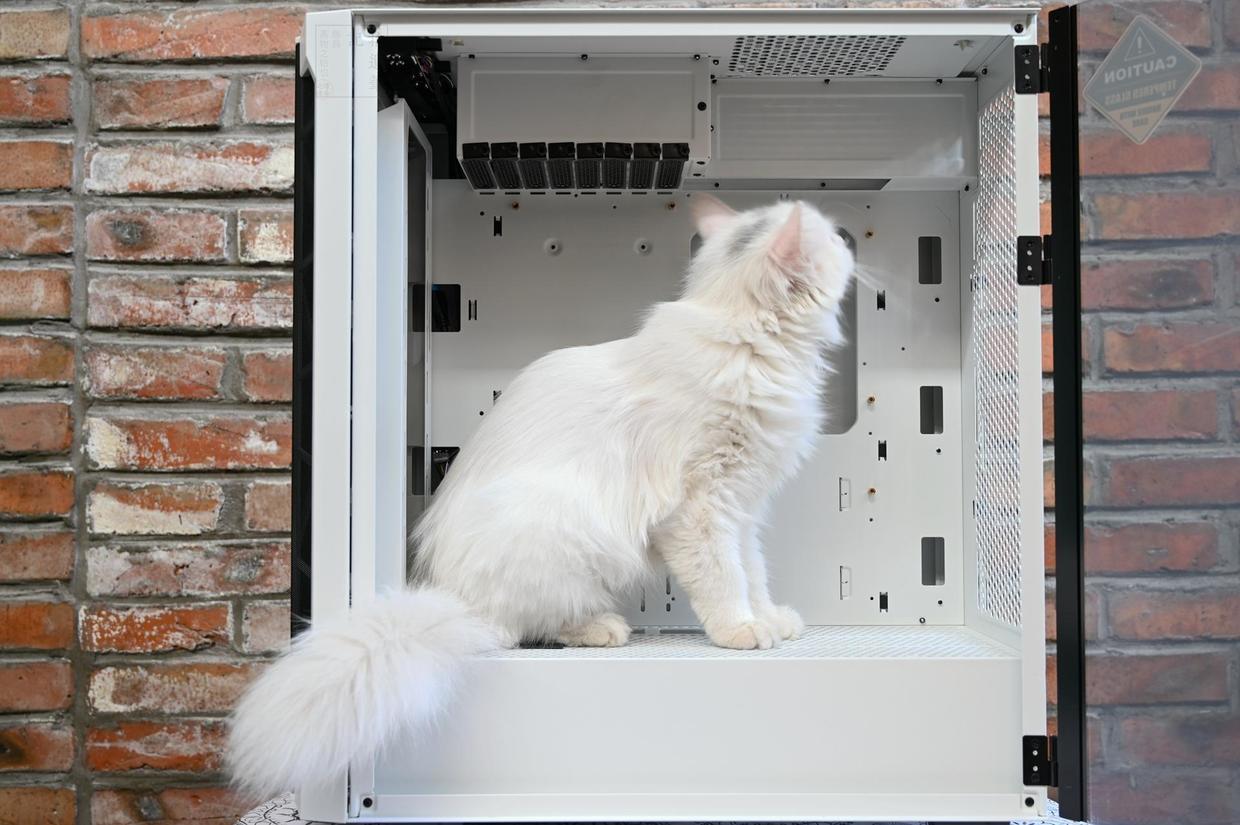 40度高温天注意防暑,40度的高温天气注意防暑