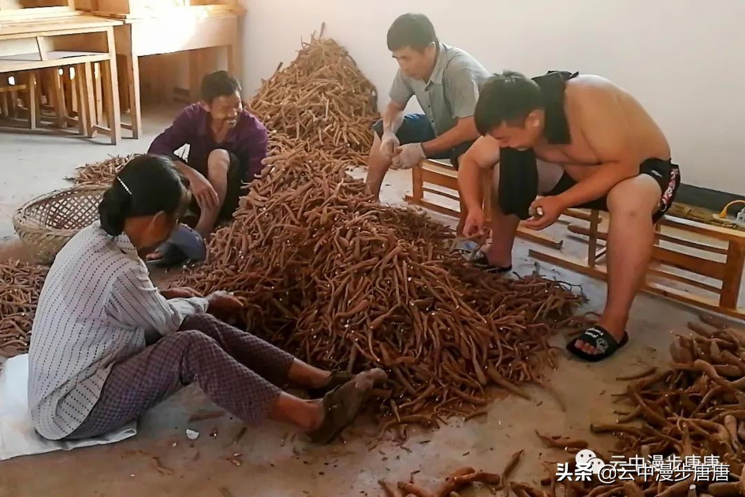 岳池旅游景点大全推荐,行走的美景