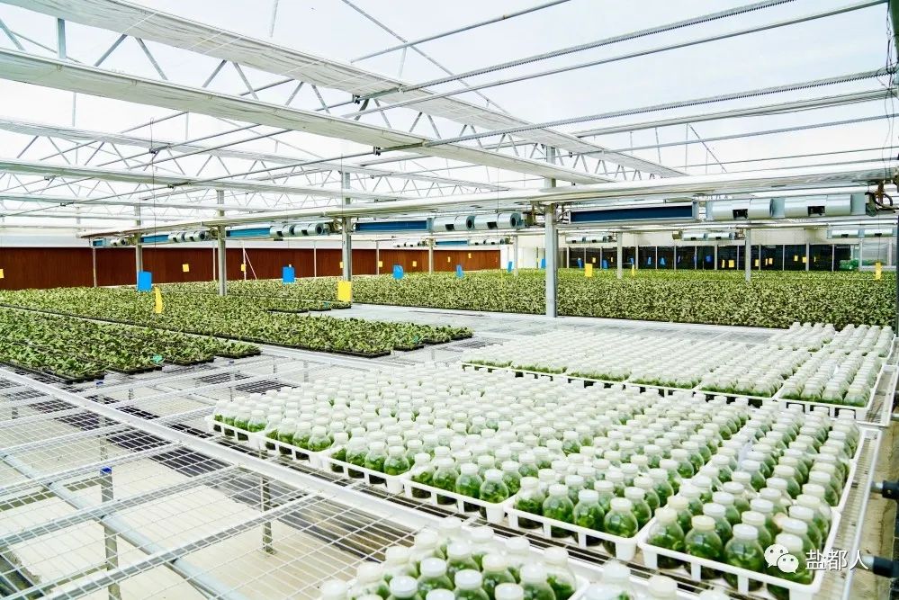 以振兴之笔擘画乡村发展画卷,以山水为笔绘好乡村振兴图