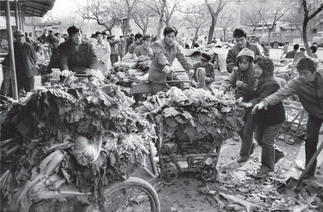 70年中华衣食住行的变化详细,中国70年前衣食住行的图片