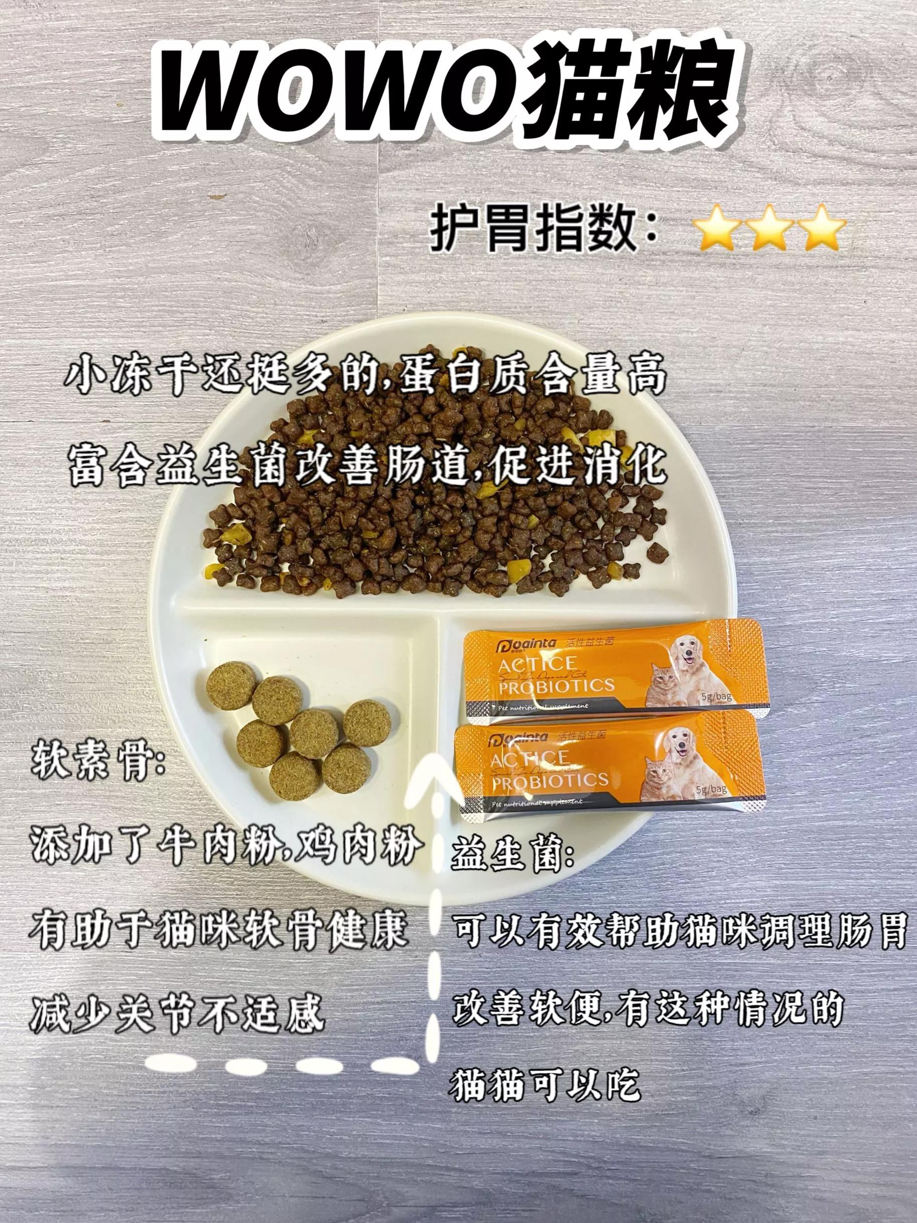 月均花费200低成本养猫攻略,月收入2000养猫