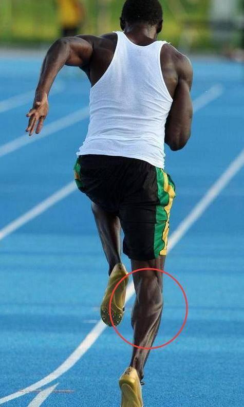 体坛那些恐怖的肌肉,罗尼的肌肉有多恐怖