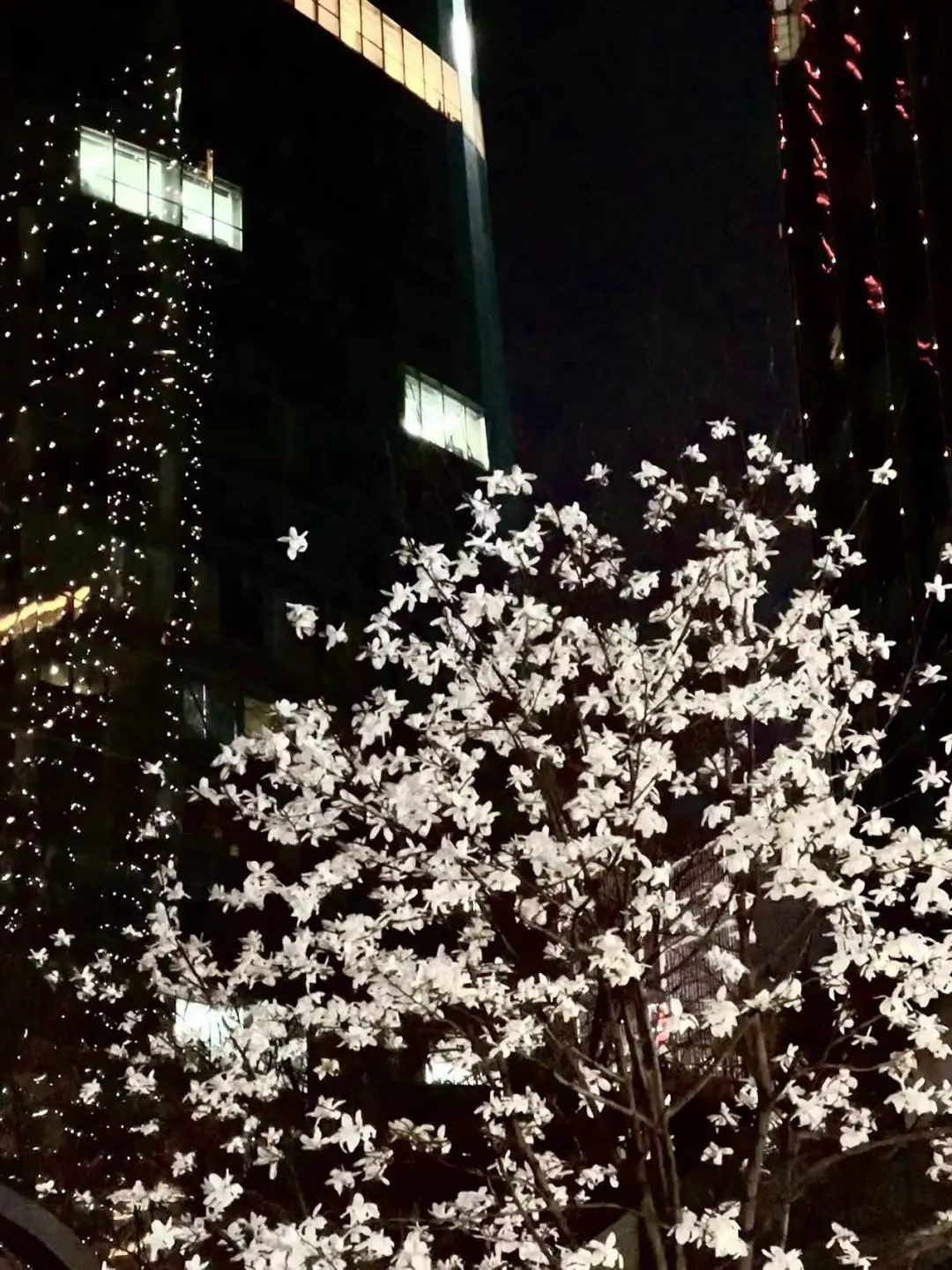 南昌最火十大网红打卡点,南昌网红打卡景点前十2021