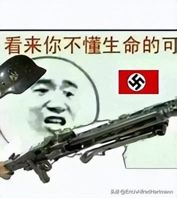 历史上德国空军,德国空军兴亡史