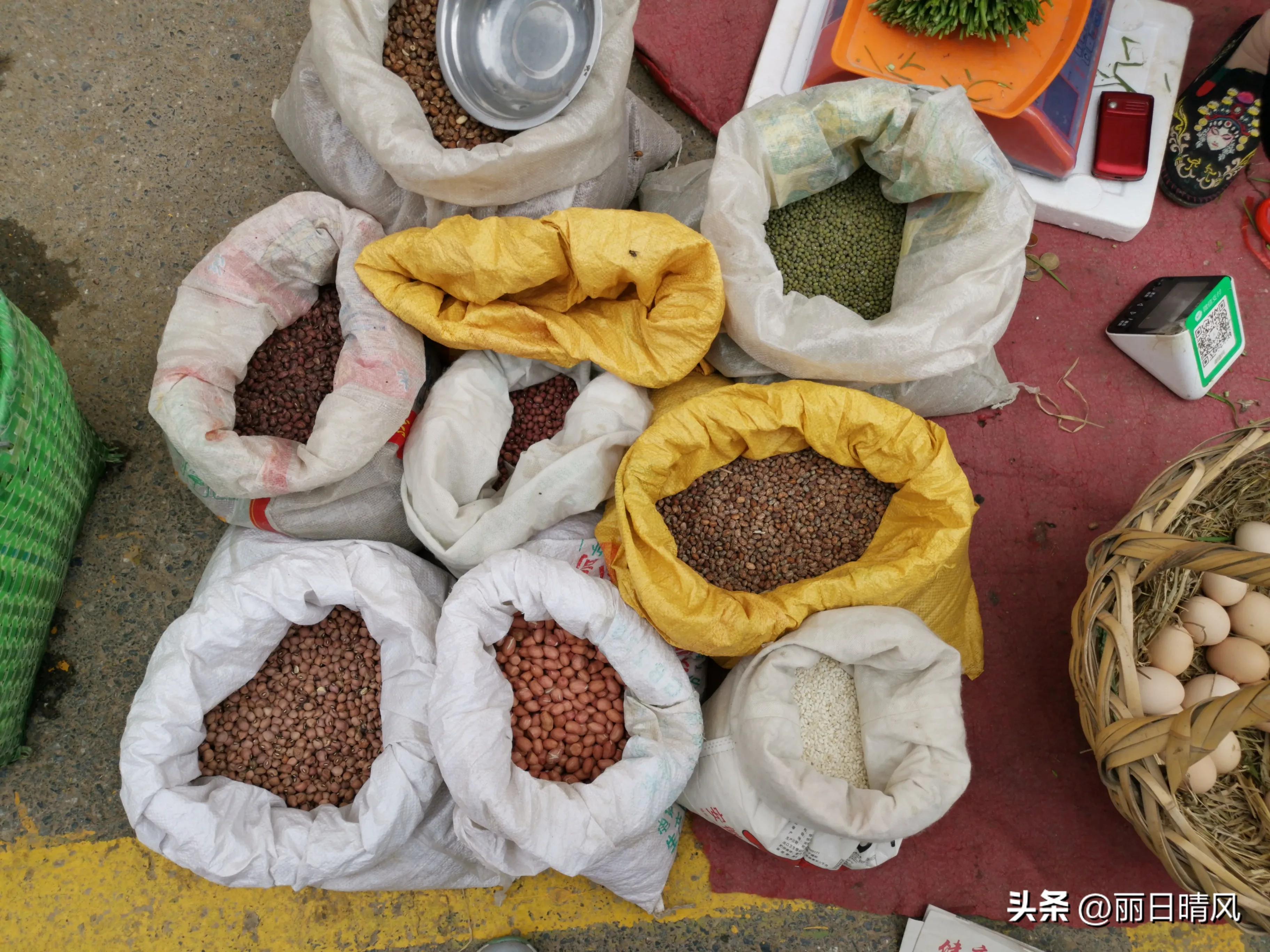 我的退休慢生活,我的退休生活该何去何从