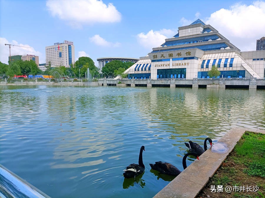 走进“周南红”成长“零距离”——共话长沙品质教育之周南中学