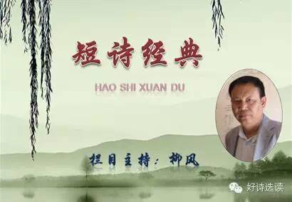 我有点绝望||短诗经典||好诗选读,1611)