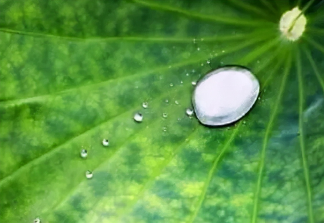 值得收藏的100句名言,值得珍藏的大师