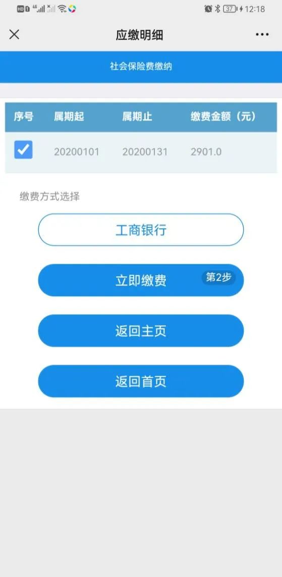 自然人缴纳社会保险费操作指南