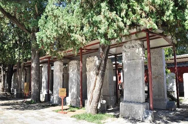 山东孔庙自驾游路线,山东孔庙游览顺序介绍