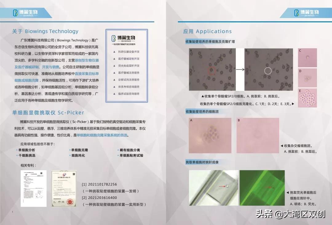 港澳青年逐梦,港澳青年创业机会