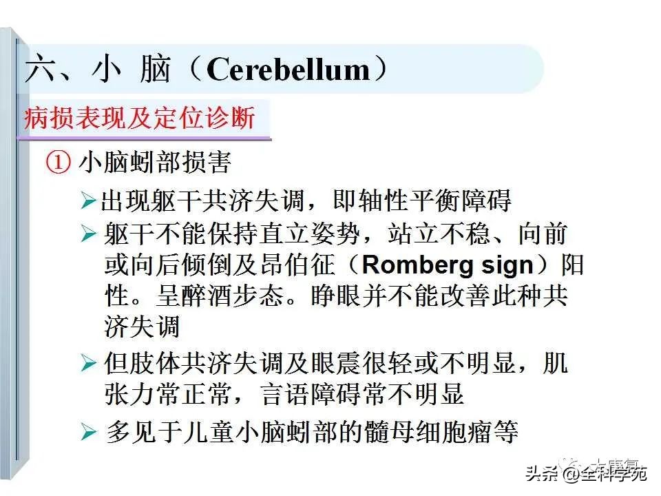 神经系统的影像与解剖定位,最全神经解剖图