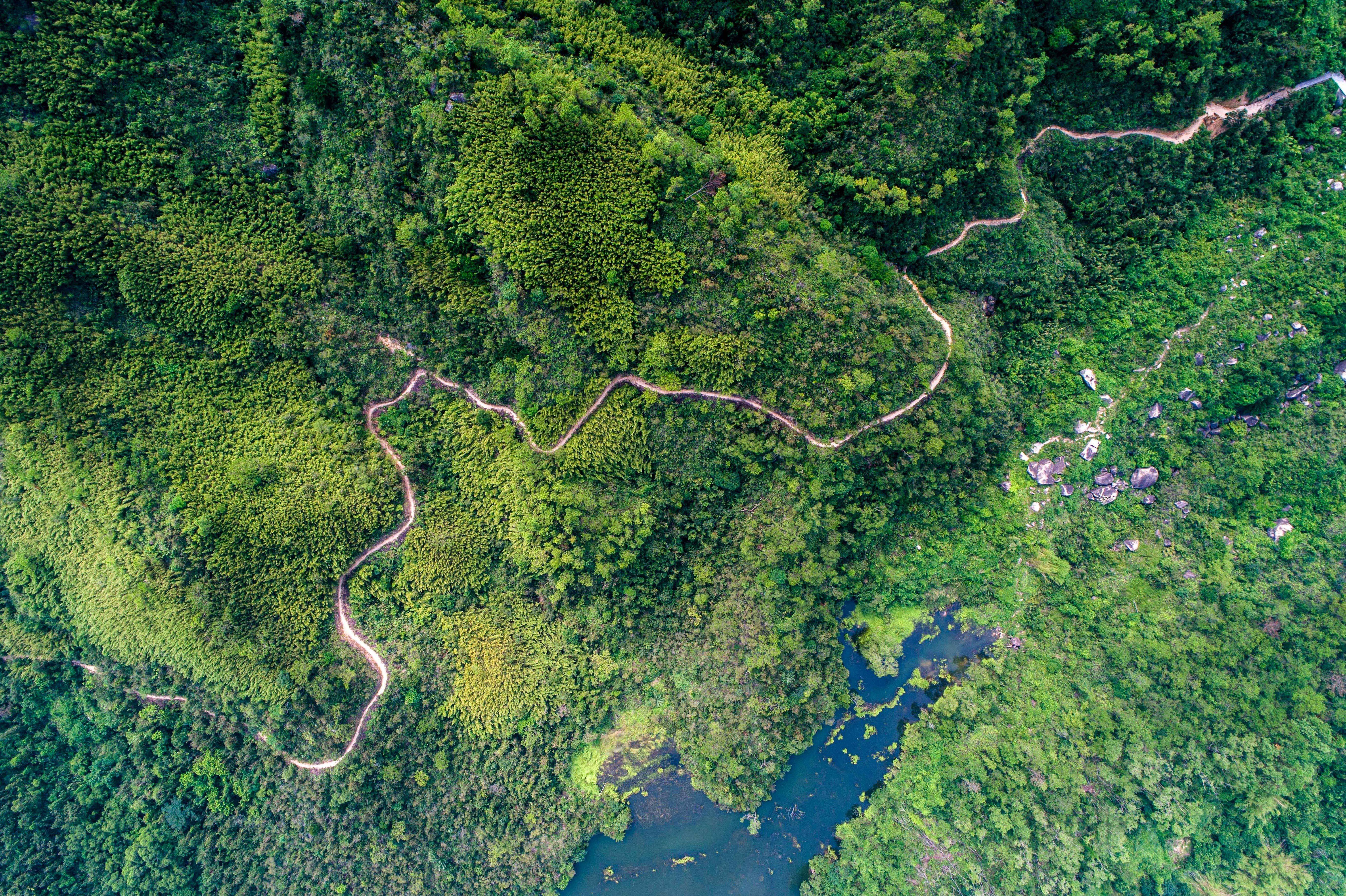 旅游鼻祖徐霞客简介图片,古代旅游达人徐霞客简介