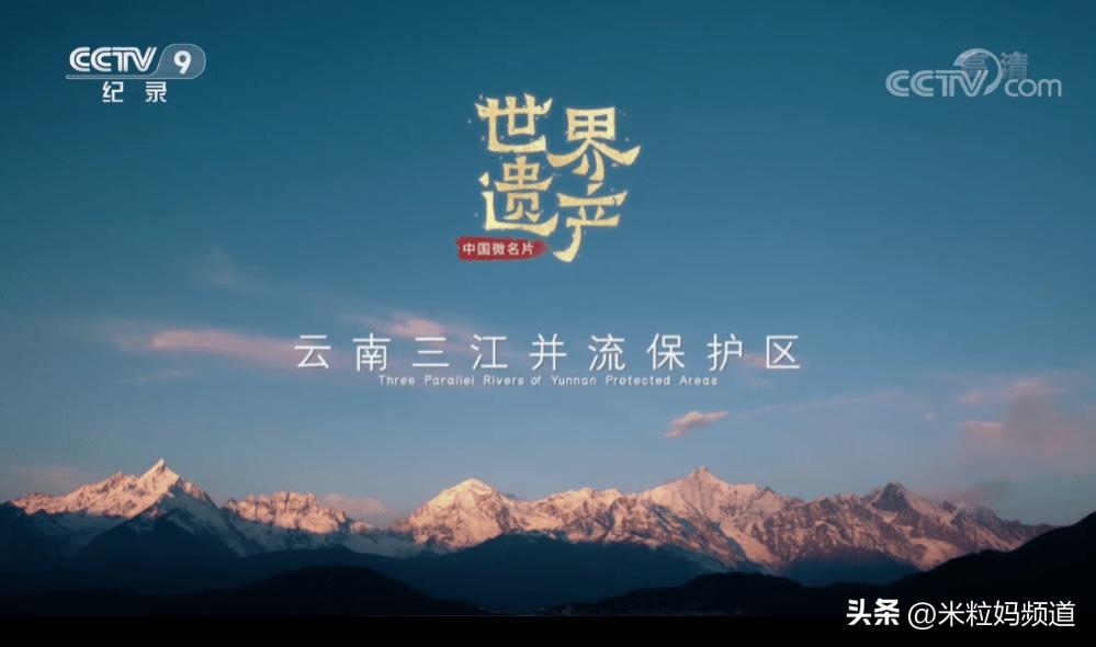 太养眼了！不能出门的日子，我给孩子找到了几个互联网“眼替”