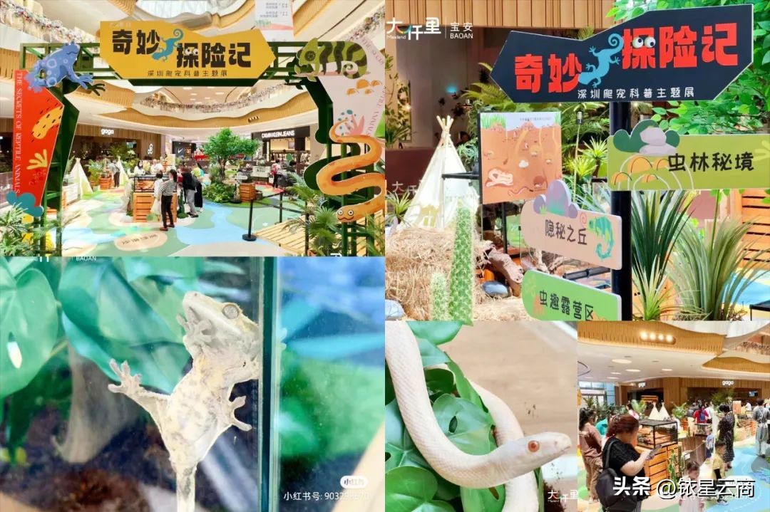 沉浸式体验场景营销,沉浸式购物情景