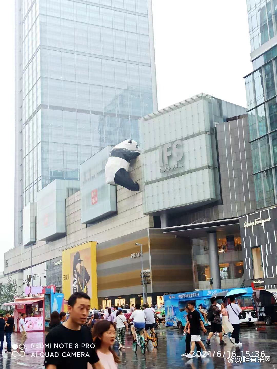 成都免费耍雪36个景点,成都周边看花景点推荐免费