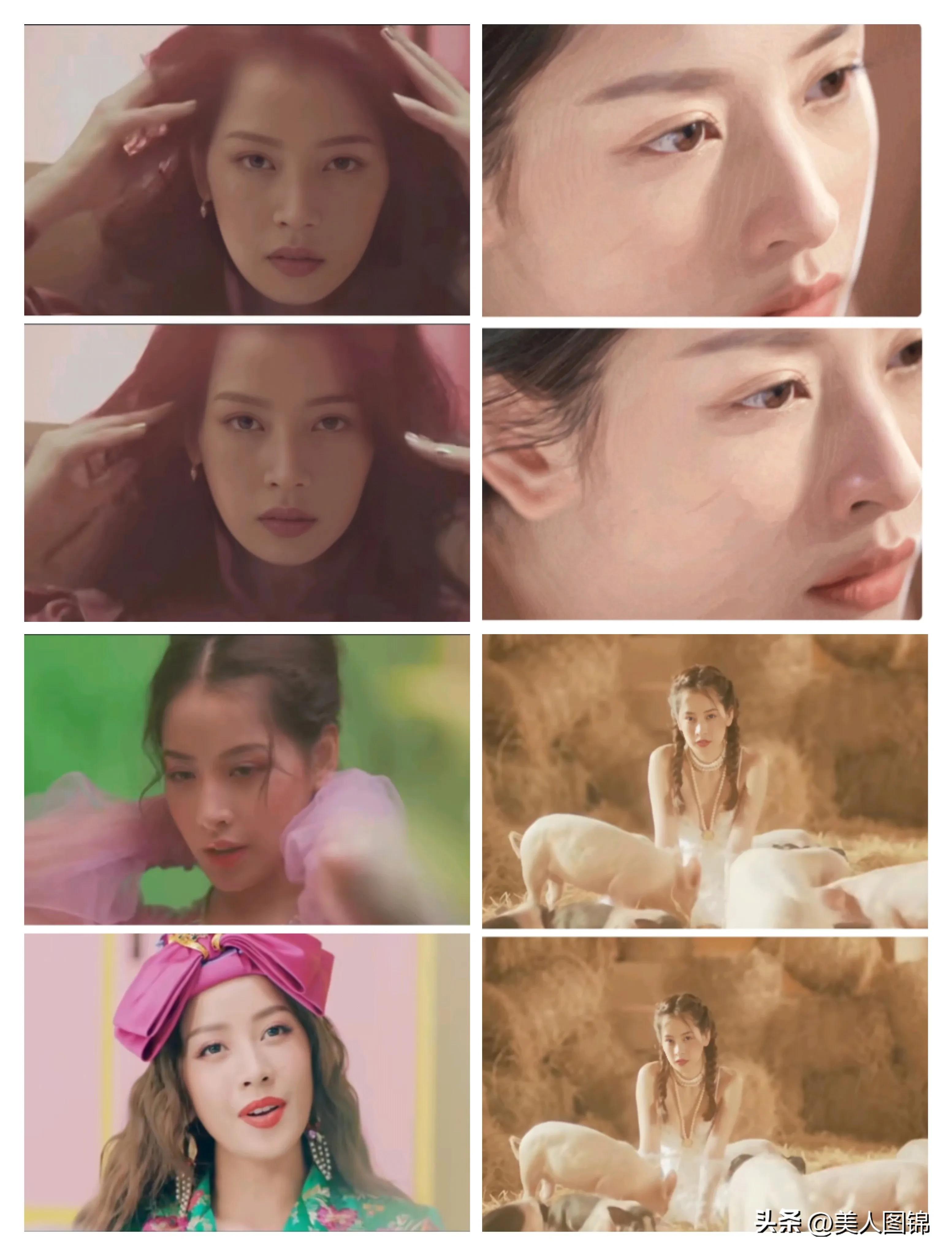 越南芝芙,芝芙越南