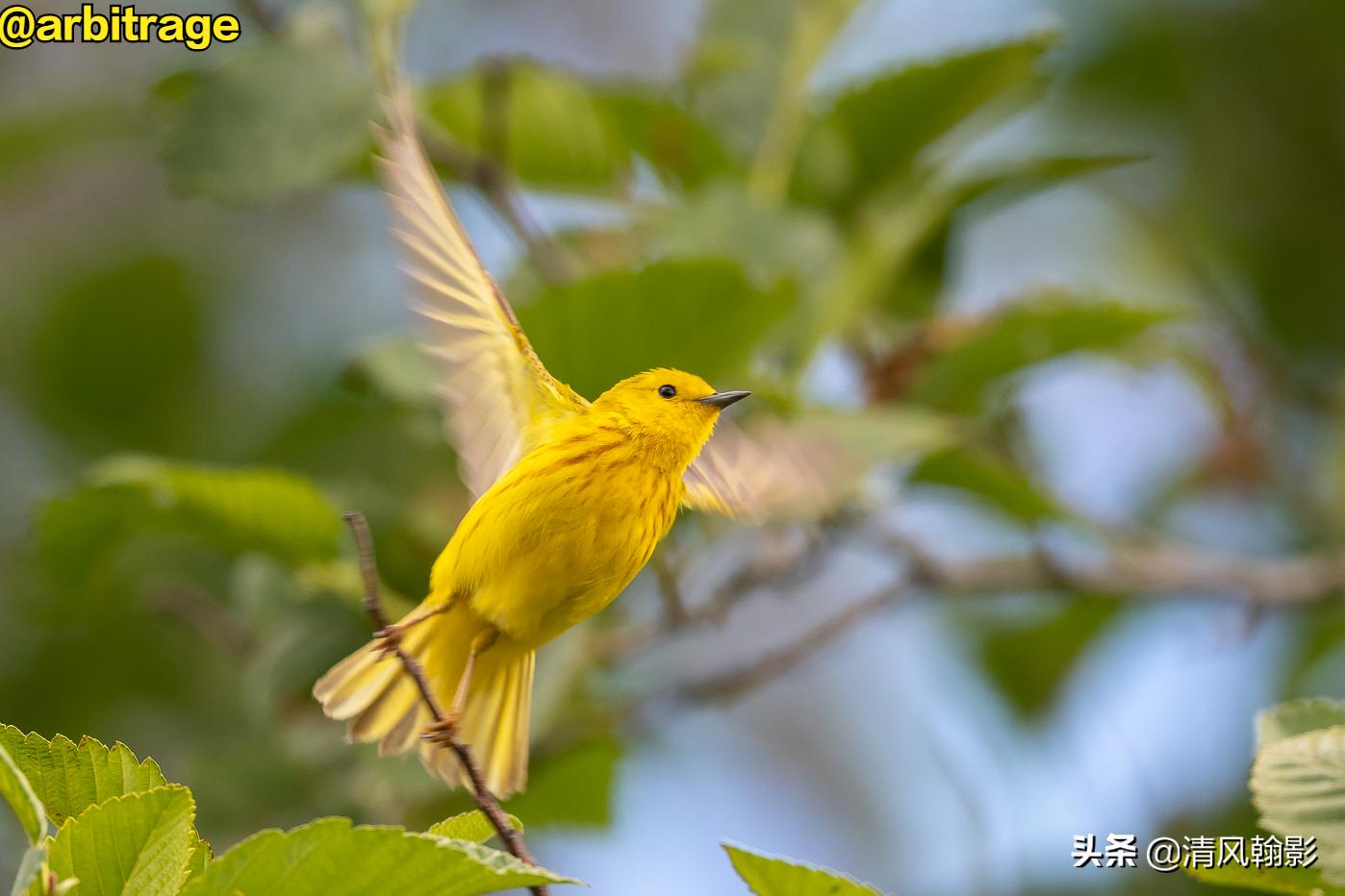 尼康d850拍照有多强,摄影器材篇尼康d850