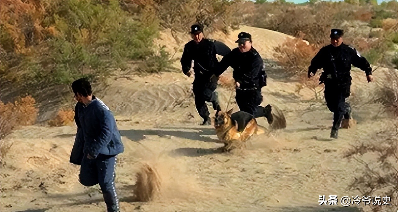 警犬抓捕女尸案例,警犬抓女犯