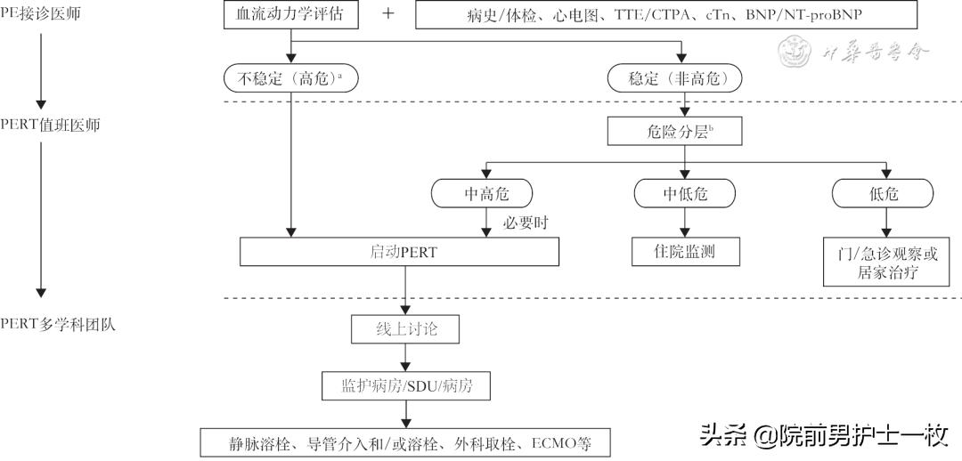急性肺栓塞疑难病例讨论模板,急性肺栓塞ct讲解视频