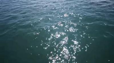 太平洋有多大视频,太平洋和大西洋面积多大