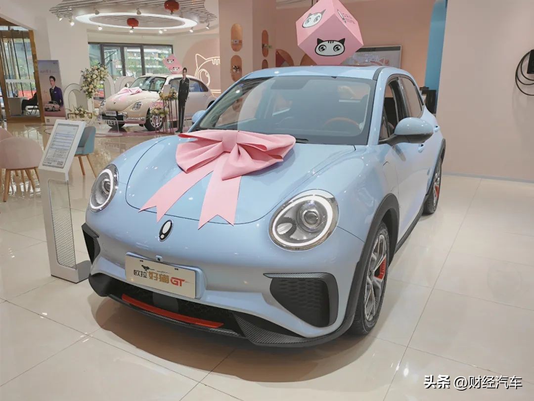 被割韭菜的欧拉车主,欧拉猫割韭菜