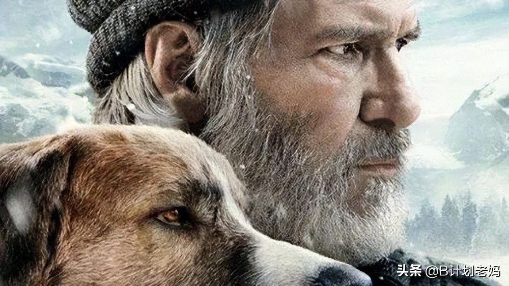 关于动物的英语电影推荐小学生,最好看的英语动物电影