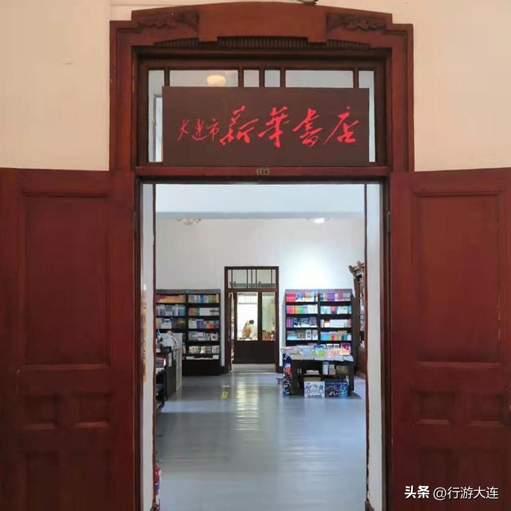 漫步银杏海~大连最美秋日在这里