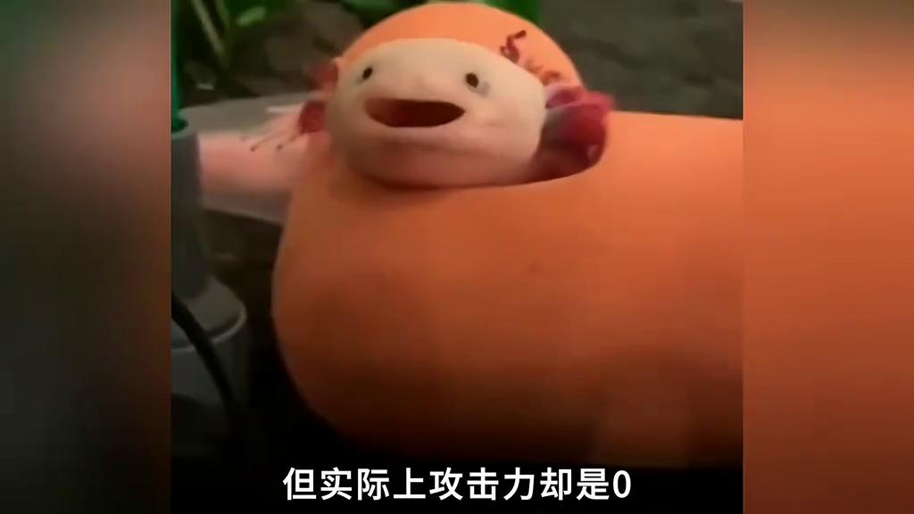 六角恐龙为什么能容颜不老,六角恐龙颜值