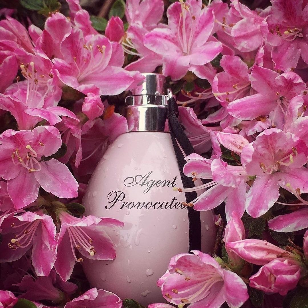 跨年约会喷这几款香水,适合约会的气氛感香水推荐