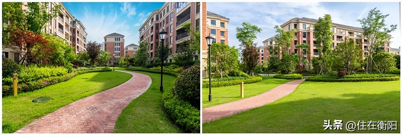 豪横购房,豪横买房合集