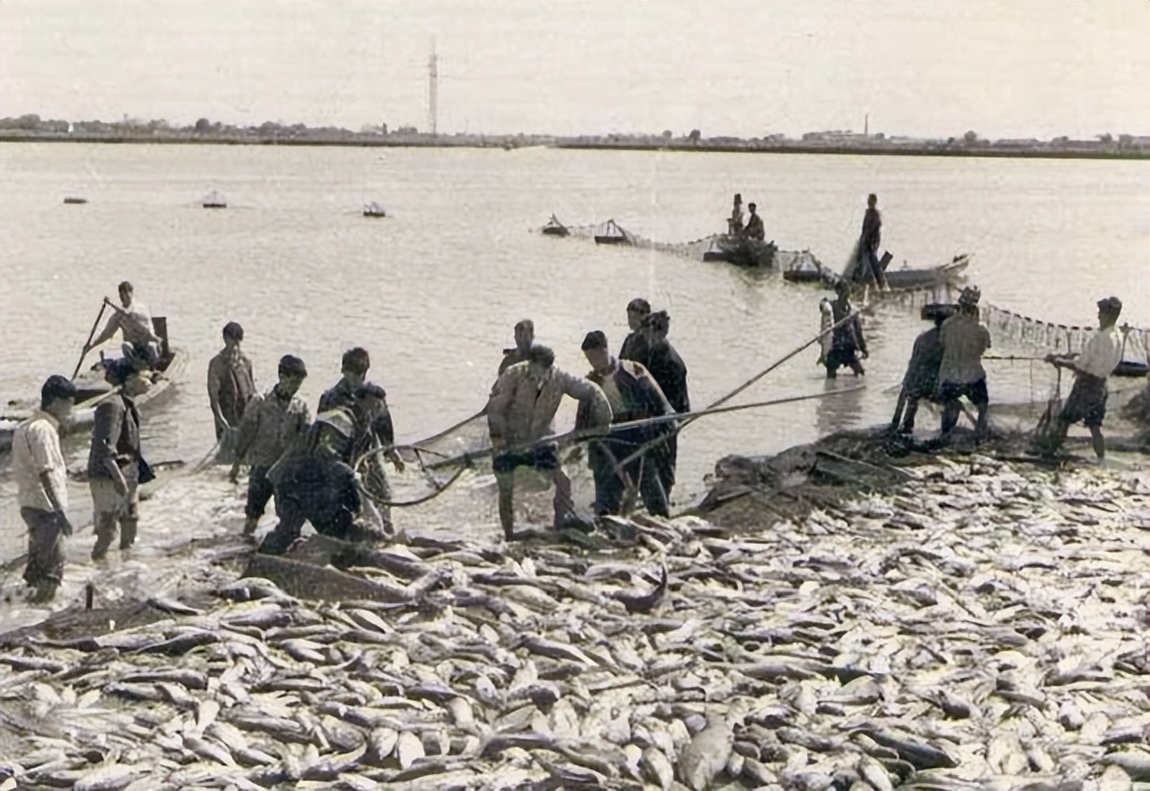 中国首位办手机号的人,中国第一位办手机号的人是谁