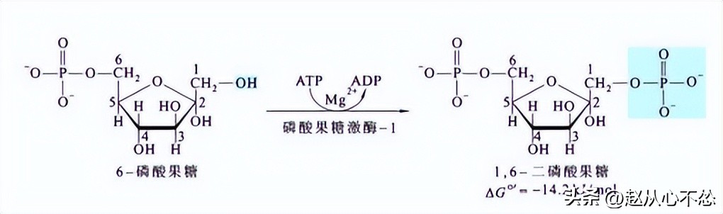 菠萝的甜度和雨水有关吗,菠萝出现一点透明还能吃吗