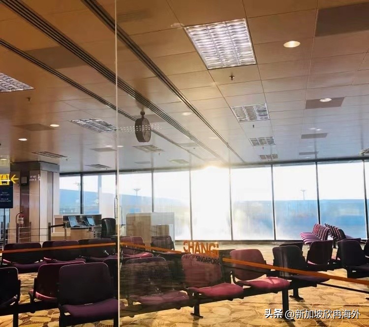 新加坡机场t4到t1航站楼 (新加坡机场樟宜机场t4大吗)