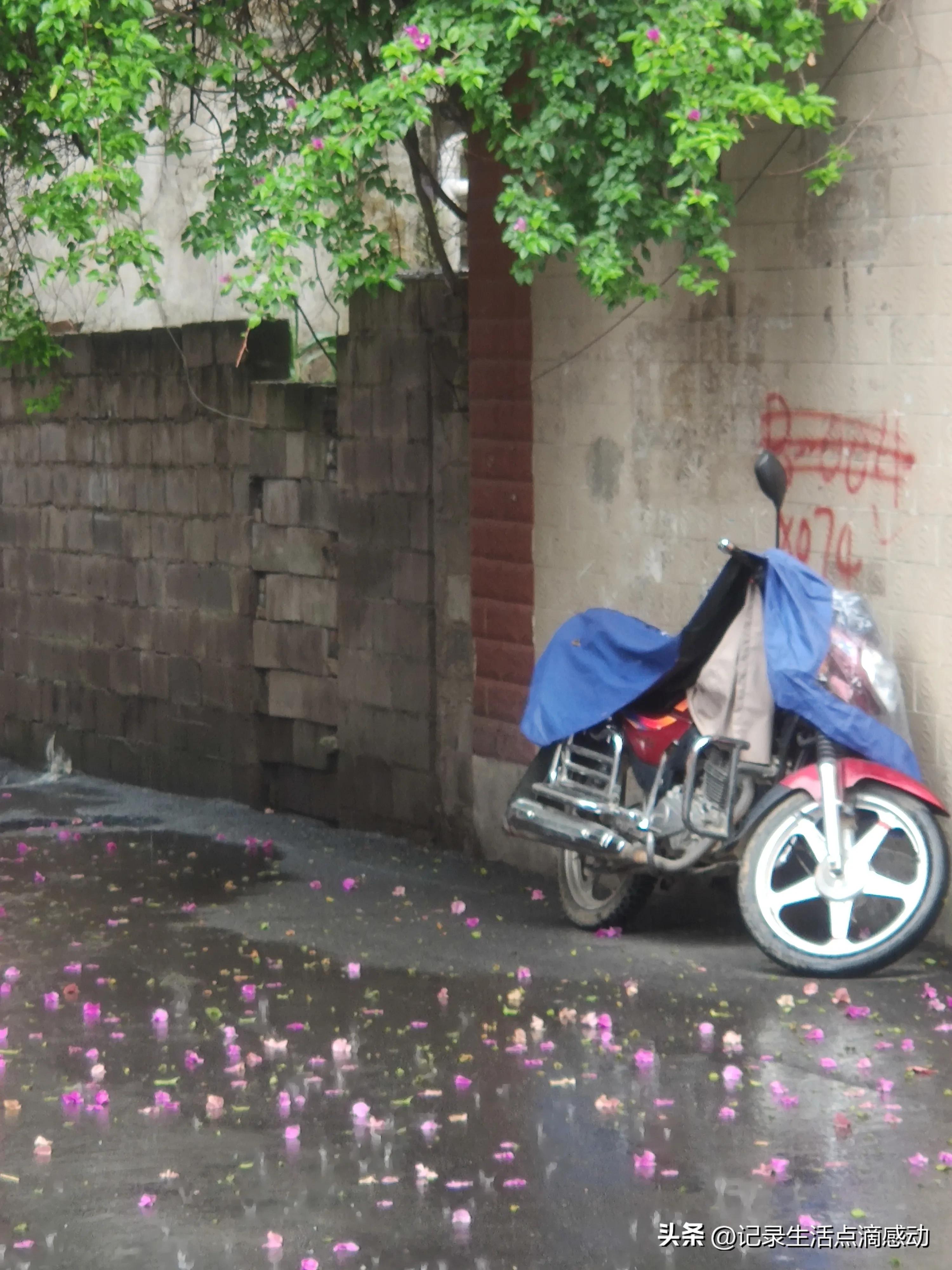 兴义定居真实感受,在兴义定居的外省人