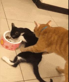 公公给我儿子看病图片,公公陪儿子输液哭了