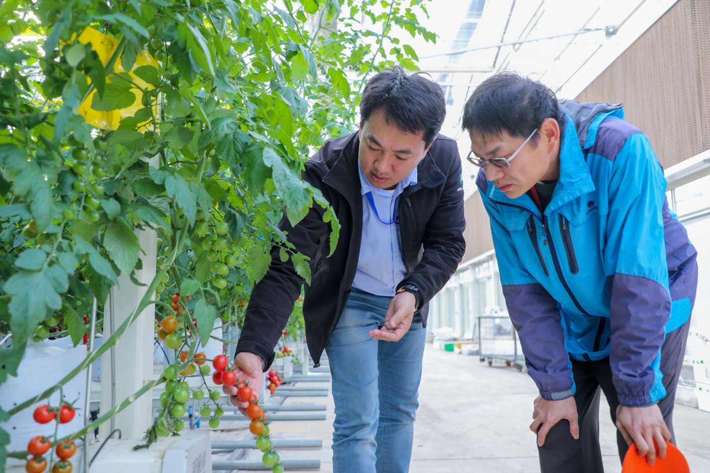 推进创新创业助力乡村振兴,聚力创业创新助力乡村振兴