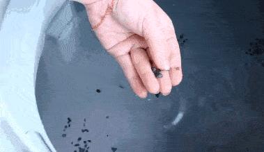 洗衣机洗出来衣服很多毛毛怎么办,洗衣机洗衣服很多毛毛粘在衣服上