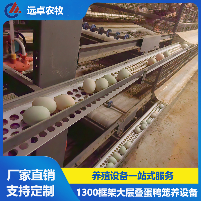 赶鸭子上架其实是好事,赶鸭子上架的含义