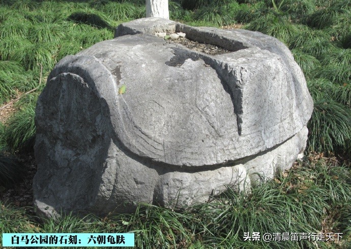 白马公园白马石刻朝代,公园石刻精品欣赏