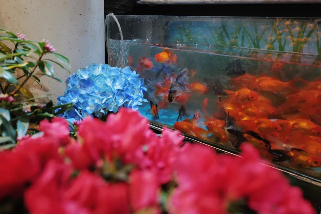 没想到有一天，在菜场被馋哭