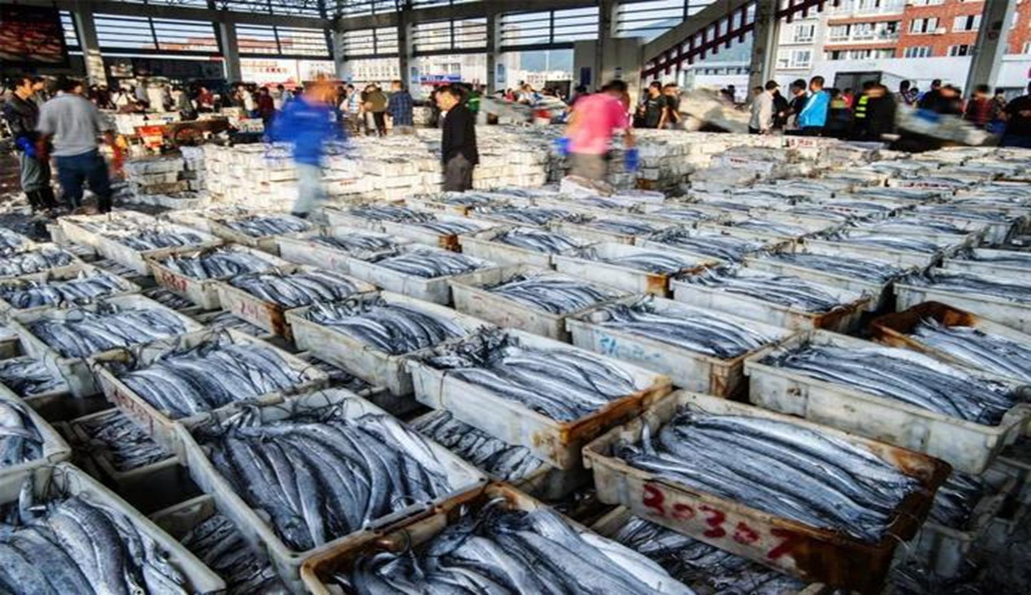 浙江宁波象山石浦介绍,宁波市象山县石浦镇渔港古城