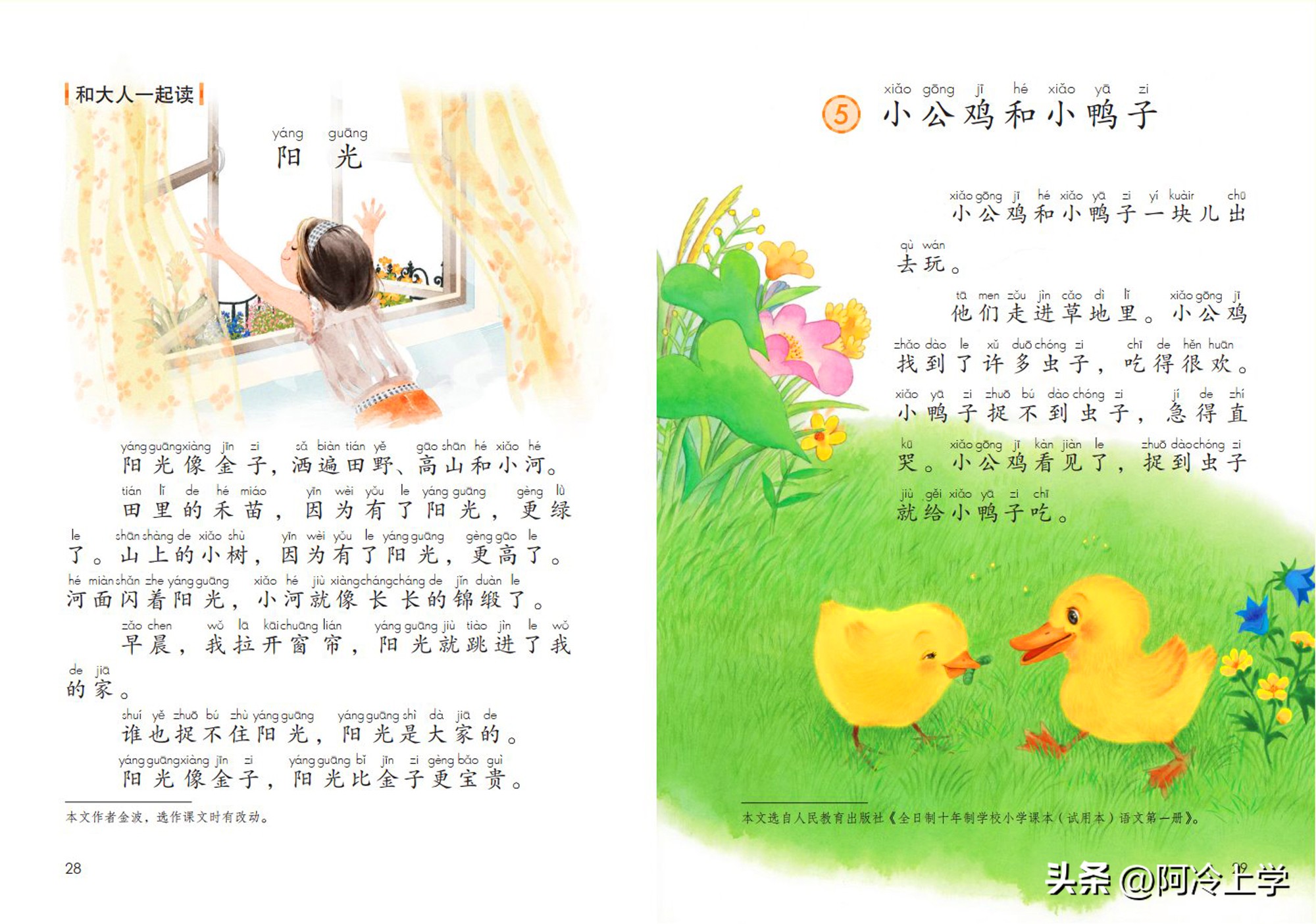 一年级小公鸡和小鸭子延伸写话,一年级小公鸡和小鸭子随堂练习