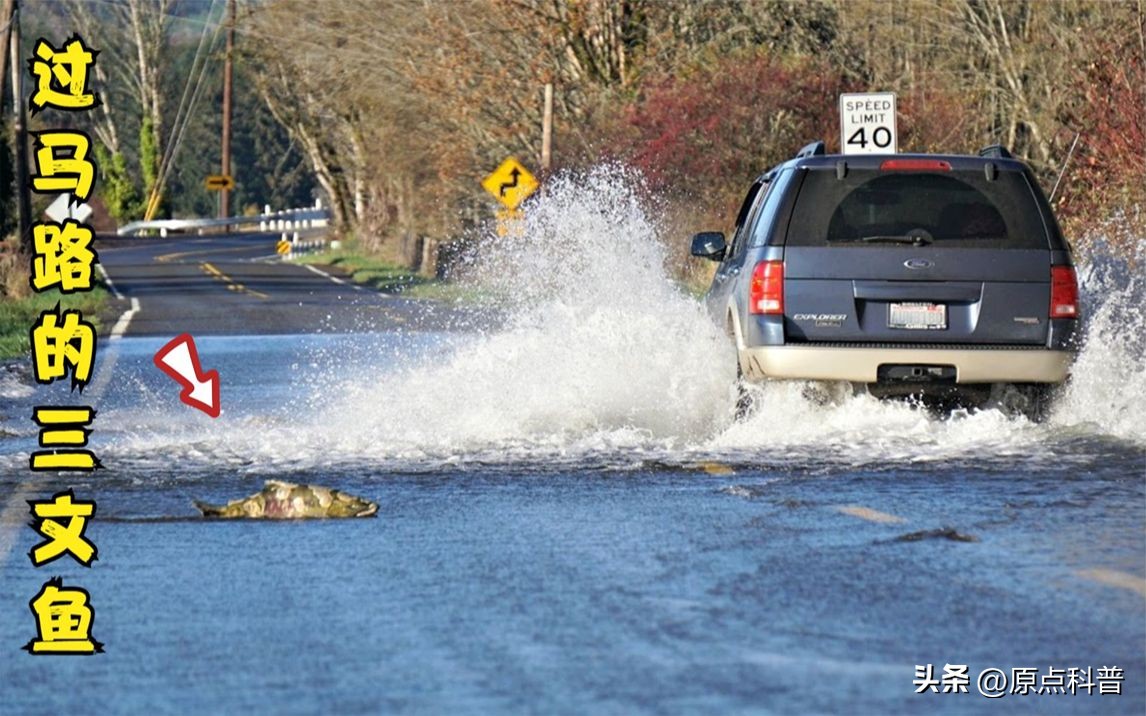 世界上七大离奇事件视频,世界各地发生的奇异现象