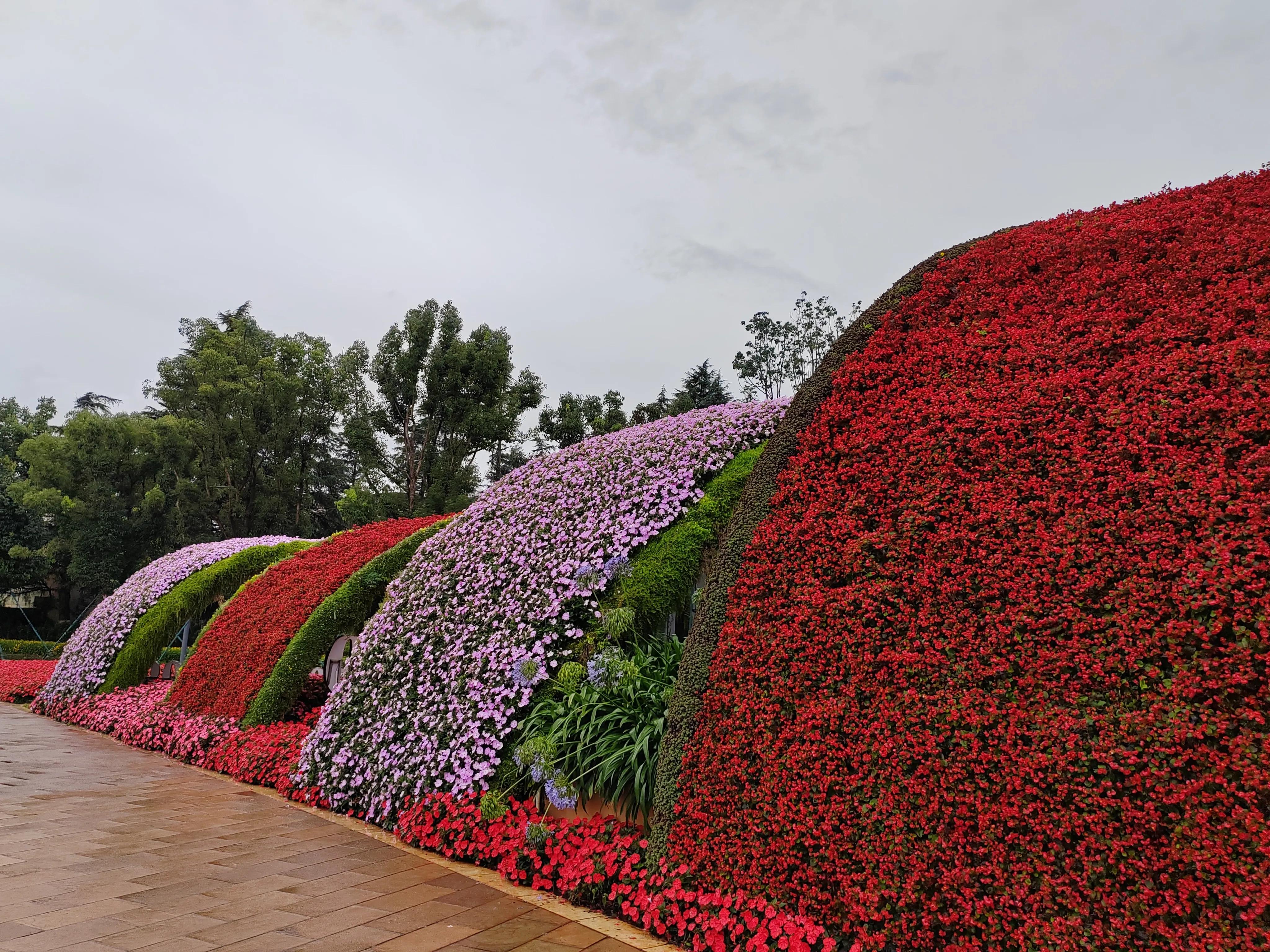 与春城昆明的再次邂逅，让这个盛夏有一抹清凉