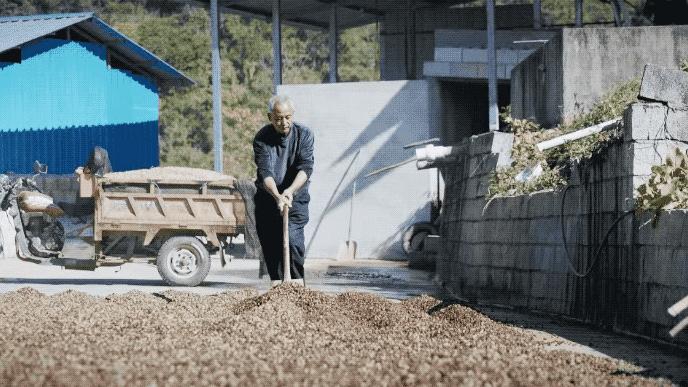 罗振宇创业行业,罗振宇2024乐观者