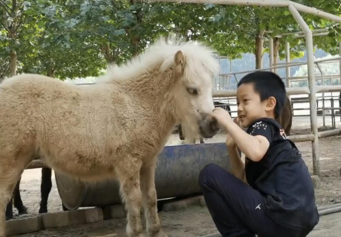 于谦和他的师傅同台谈论郭德纲,于谦假笑男孩