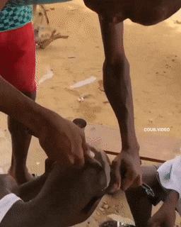 79个难得一见照片，飞机释放烟雾弹，逃票的女乘客，飞翔的蝙蝠