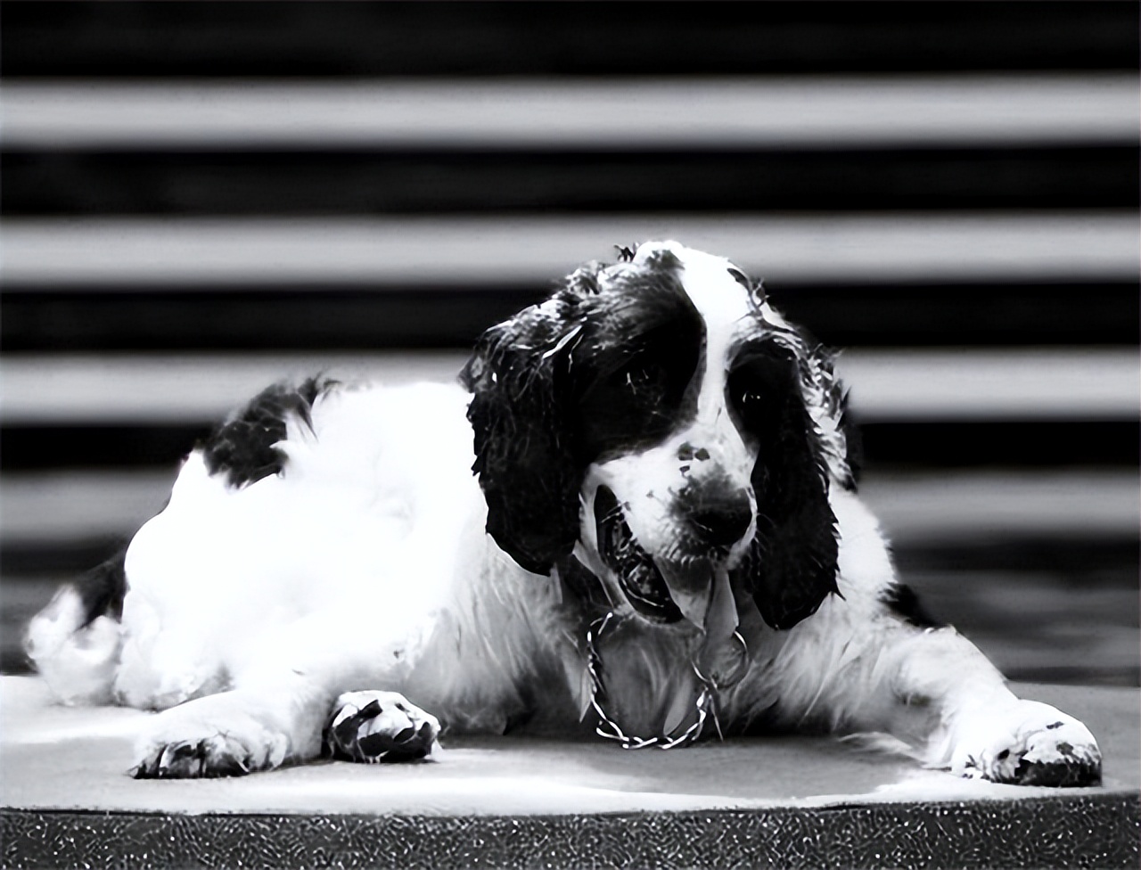 汶川地震搜救的事件,汶川地震惨烈救援人员回忆哭了